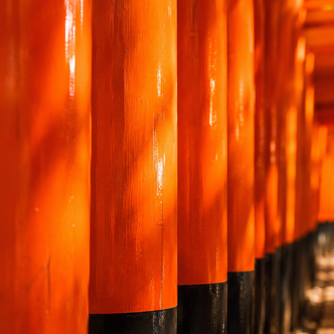Torii — Shrine Gate | Takenaka Kenji × Takezasado