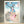 The Bucket of Chiyono | Yoshitoshi × Takahashi Kobo